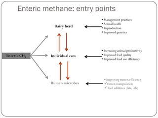 Technical mitigation options in dairy