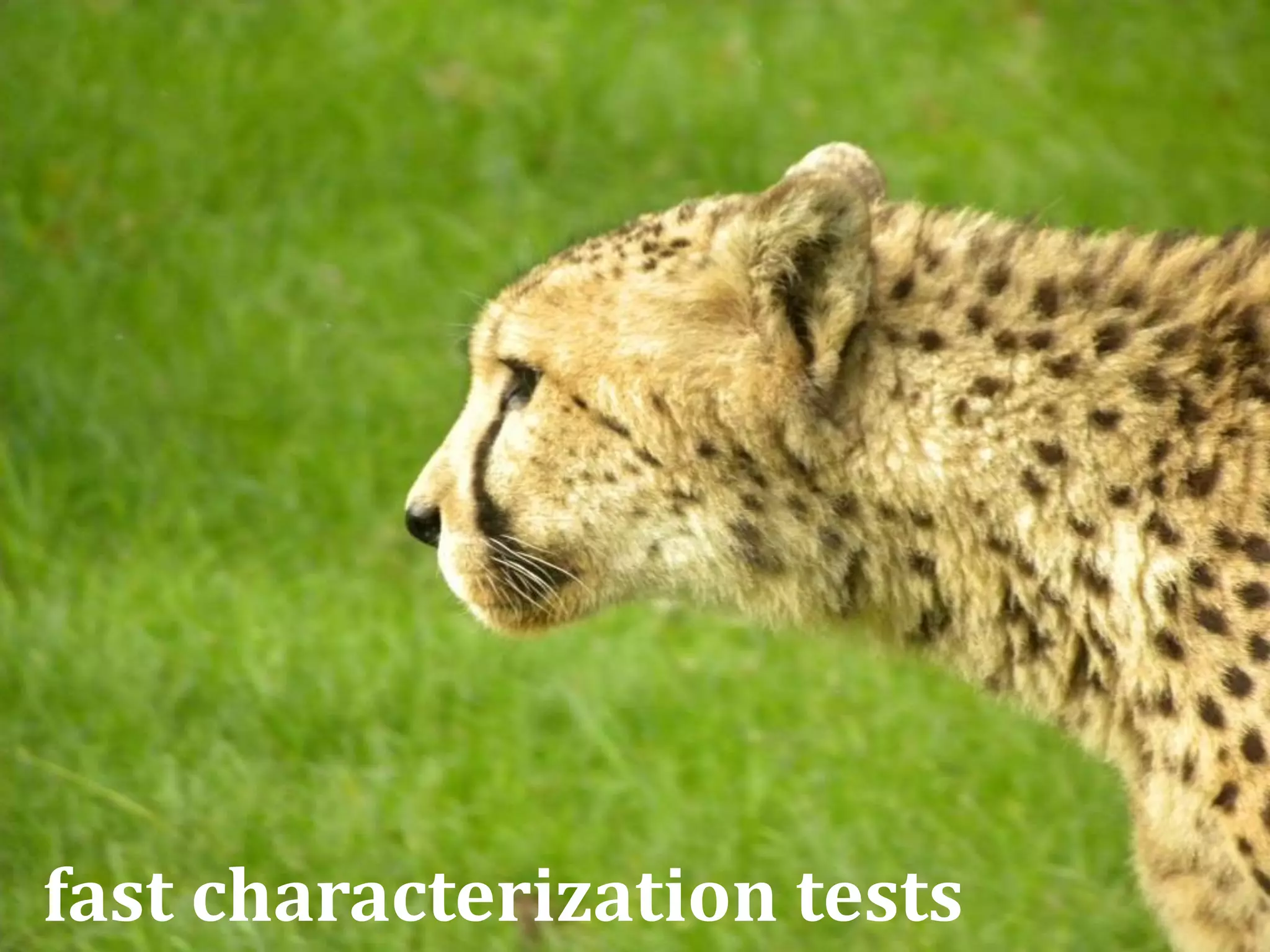 fast characterization tests
 
