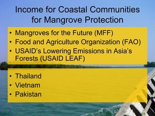 Generating income from mangroves through climate change mitigation
