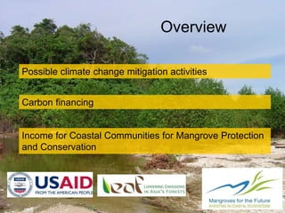 Generating income from mangroves through climate change mitigation