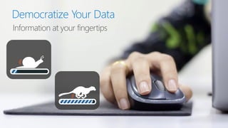 Democratize Your Data
Information at your fingertips
