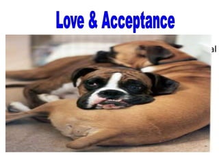 Conditional & related to social
  WEALTH       settings & connections


MIDDLE-CLASS Conditional – based
                 largely on achievement

                Conditional – based on
 POVERTY
                whether person is liked
 