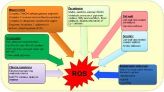 Generation and removal of reactive oxygen species | PPTX