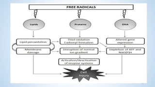 GENERATION AND ROLE OF FREE RADICAL IN VARIOUS (1).pptx