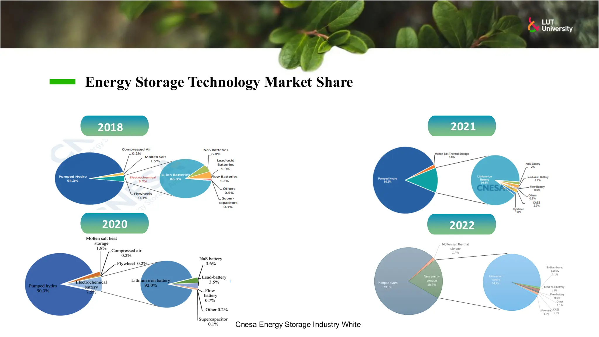 Energy Storage Technology Market Share
2022
2021
2018
2020
Cnesa Energy Storage Industry White
 
