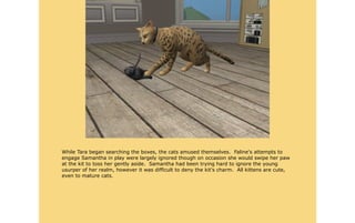 While Tara began searching the boxes, the cats amused themselves. Faline's attempts to
engage Samantha in play were largely ignored though on occasion she would swipe her paw
at the kit to toss her gently aside. Samantha had been trying hard to ignore the young
usurper of her realm, however it was difficult to deny the kit's charm. All kittens are cute,
even to mature cats.
 