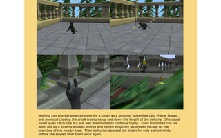 Nothing can provide entertainment for a kitten as a group of butterflies can. Faline leaped
and pounced chasing the small creatures up and down the length of the balcony. She could
never quite catch one but she was determined to continue trying. Even butterflies can be
worn out by a kitten's endless energy and before long they attempted escape on the
branches of the nearby tree. Their defection daunted the kitten for only a short while,
before she leaped after them once again.
 