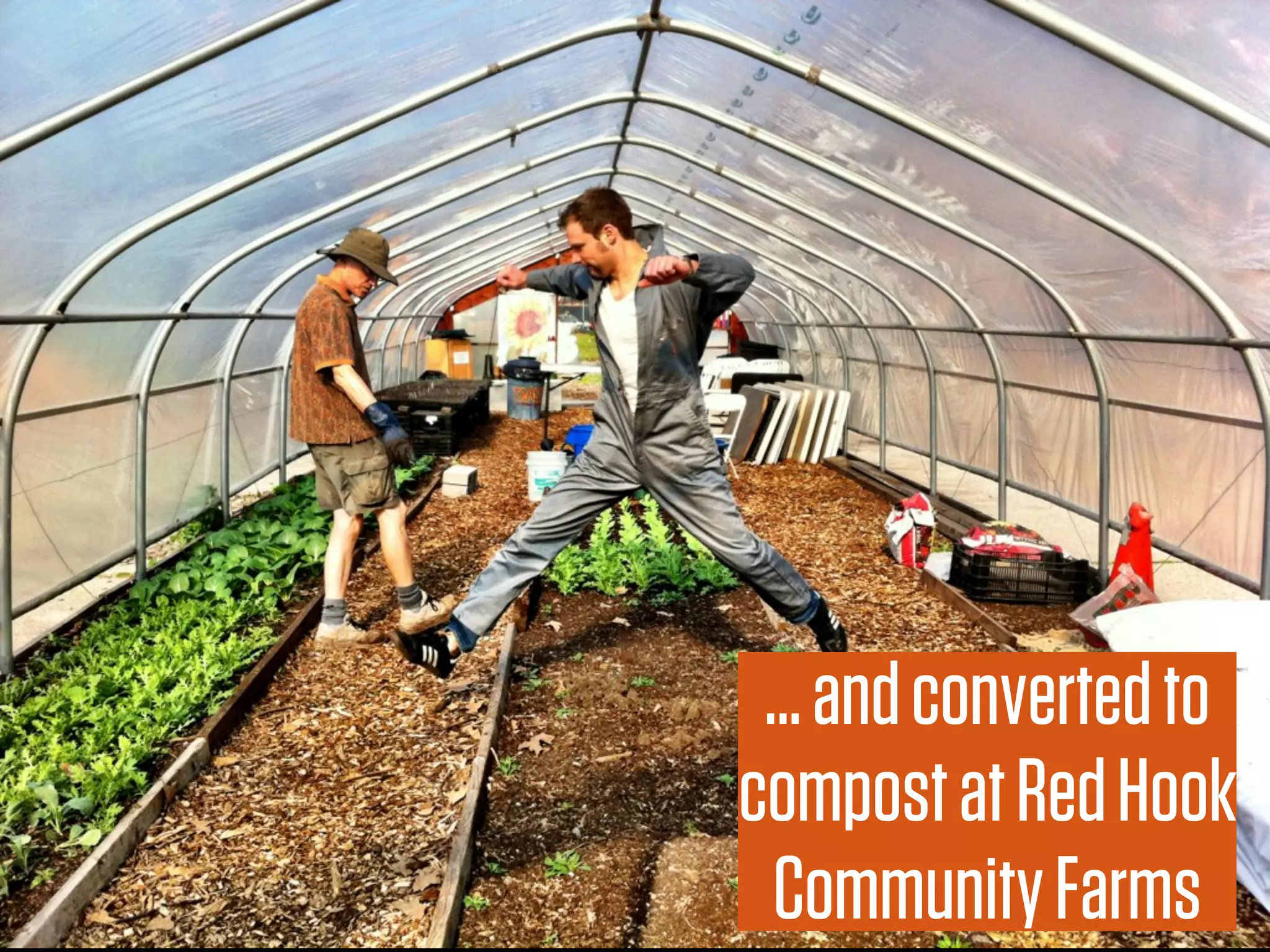 ... and converted to
compost at Red Hook
  Community Farms
 