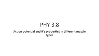 PHY 3.8
Action potential and it’s properties in different muscle
types
 