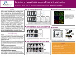Generation of invasive breast cancer cell lines for in vivo imaging
                                                            Jae Beom Kim, Kenneth Wong, and Konnie Urban. Life Sciences & Technology, PerkinElmer Inc., Alameda, CA



                                       Abstract                                                          1 In vivo monitoring of tumor growth                                                                                                                                                                                                                                                                                           4 Biomarkers in MDA-MB-231-luc2-LN cells
Whole animal non-invasive imaging contributes significantly to understand tumor behavior. It                                                    Day 102     Day 107       Day 115    Day 126                        Tumor volume                                                                  Bioluminescence
                                                                                                          A
also plays a critical role in drug discovery and development. Optical imaging is convenient
                                                                                                                                                                                                                                                                                                                                                                                                                                                   A                           B
because it does not require radioactive materials for imaging. Especially in preclinical




                                                                                                                        MDA-MB-231-luc2
                                                                                                                                                                                                                             M #3 - Excision Day 126
                                                                                                                                                                                                               1,000


applications, optical imaging can be a very useful tool because genetic modification is                                                                                                                            800




                                                                                                                                                                                                    Tumor Volume
                                                                                                                                                                                                                   600




                                                                                                                                                                                                       (mm^3)
feasible. The most popular optical imaging is using bioluminescence. We introduced various                                                                                                                         400
                                                                                                                                                La         Very       Very Large                                   200
cancer cell lines that express firefly luciferase. These cells have stable expression of light                                                  rg         Large                                                     0
                                                                                                                                                                                                                         0   30          60            90       120   150
emission for prolonged cell culture situation. This enables researchers to implant the cells into                                               e                                                                                                                                                                                                                                                                                                                                                           Cultured MDA-MB-231-luc2-LN cells were stained with
                                                                                                                                                                                                                                        Experimental Day
                                                                                                                                                                                                                                                                                                                                                                                                                                                   Before Unmixing             After Unmixing               PathScan signaling nodes multiplex
animals and monitor tumor development and metastasis. In addition, these tumor cells can be                                                                                                                                                                                                                                                                                                                                                                                                                 immunofluorescence kit (Cell Signaling Technology).
detected using fluorescent agents that target tumor cells. As a consequence, one can co-                                                                                                                                                                                                                                                                                                                                                           C                           D                            Cells were counter stained with DAPI and fluorescent

register both bioluminescent and fluorescent images. Cells also can be labeled with both                  B                                      Day 73      Day 93       Day 101    Day 106                        Tumor volume                                                                 Bioluminescence                                                                          Fluorescence                                                                                                      images were taken using Nuance camera. Each signal
                                                                                                                                                                                                                                                                                                                                                                                                                                                                                                            was spectrally unmixed using Nuance software. (A)




                                                                                                                     MDA-MB-231-luc2-tdTomato
bioluminescent and fluorescent markers such as luciferases and fluorescent proteins.                                                                                                                                                                                                                                                                                                                                                                                                                        Image before unmixing, (B) Spectrally unmixed image,
                                                                                                                                                                                                                             #M6 - Excision Day 108                                                    1.0E+12            M#6 - Excision Day 108                                                   M #6 - Excision Day 108                                                                                  (C) Unmixed DAPI image, (D) Unmixed Phospho-
Although there are many different types of cell lines available for different tumor types,                                                                                                                     3,000                                                                                   1.0E+11
                                                                                                                                                                                                                                                                                                                                                                                          10
                                                                                                                                                                                                                                                                                                                                                                                                                                                                                                            Erk1/2 image (Alexa Flour 488), (E) Unmixed Phospho




                                                                                                                                                                                                                                                                                                                                                               Total Radiant Efficiency
                                                                                                                                                                                                                                                                                                                                                                                           9
                                                                                                                                                                                                               2,500                                                                                   1.0E+10                                                                             8
                                                                                                                                                                                                                                                                                                                                                                                                                                                                                                            Akt (Alexa Flour 555), (F) Unmixed Phospho-S6




                                                                                                                                                                                                Tumor Volume
studying metastasis can be challenging. That is mainly because most cell lines show delayed                                                                                                                                                                                                                                                                                                7




                                                                                                                                                                                                                                                                                       (photons/sec)
                                                                                                                                                                                                               2,000                                                                                   1.0E+09




                                                                                                                                                                                                                                                                                         Total Flux
                                                                                                                                                                                                   (mm^3)
                                                                                                                                                                                                                                                                                                                                                                                           6




                                                                                                                                                                                                                                                                                                                                                                      ( X 10^8)
                                                                                                                                                                                                               1,500                                                                                   1.0E+08                                                                             5                                                                                                                ribosomal protein (Alexa Flour 647).
                                                                                                                                                                                                                                                                                                                                                                                                                                                   DAPI                        Phospho-Erk1/2
                                                                                                                                                                                                                                                                                                                                                                                           4
metastasis when implanted in the animal. To expedite the metastasis, intravenous injection or                                                                                                                  1,000
                                                                                                                                                                                                                   500
                                                                                                                                                                                                                                                                                                       1.0E+07
                                                                                                                                                                                                                                                                                                       1.0E+06
                                                                                                                                                                                                                                                                                                                                                                                           3
                                                                                                                                                                                                                                                                                                                                                                                           2
                                                                                                                                                                                                                                                                                                       1.0E+05                                                                             1
intracardiac injection is performed to generate secondary tumors in the animal. However,                                                                                                                            0

                                                                                                                                                                                                                                                                                                                                                                                                                                                   E                           F
                                                                                                                                                                                                                                                                                                       1.0E+04                                                                             0
                                                                                                                                                                                                                         0        30              60            90         120                                   0         30     60       90      120   150                                   0   30     60     90         120   150

these methods do not represent true metastasis from originated organs. One of the most                                                                                                                                                 Experimental Day                                                M #6                     Experimental Day                                  M #6                   Experimental Day

                                                                                                                                                                                                                                                                                                       Non-Palpable Tumor (N=3)                                                   Non-Palpable Tumor (N=3)
popular breast cancer cell line is MDA-MB-231. When these cells are implanted into                                                                                                                                                                                                                     Background                                                                 Background

mammary fat pads of female nude mice, it typically takes more than 90 days to detect
                                                                                                                                                 MDA-MB-231-luc2 and MDA-MB-231-luc2-tdTomato cells were implanted into the mammary fat pads of athymic nude mice.
metastasis in the secondary sites. Therefore, to study the tumor behavior or to examine the                                                      Tumor growth was monitored using bioluminescent imaging. Tumor volumes were measured using a caliper. Bioluminescent
drug efficacy, one has to wait for a long time to see metastasis with MDA-MB-231 cell line.                                                      signals were quantitated using Living Image software. Representative mice were shown. (A) Mouse implanted with MDA-
                                                                                                                                                 MB-231-luc2 cells. (B) Mouse implanted with MDA-MB-231-luc2-tdTomato cells. Graphs next to the animals images are                                                                                                                                                                                  Phospho Akt                Phospho-S6
Here, we generated tumor cell lines that were derived from MDA-MB-231 originated cells. We                                                       quantitation for tumor volumes, bioluminescent signals, and fluorescent signals.
took MDA-MB-231 cells that were labeled with either luciferase (MDA-MB-231-luc2) or
luciferase & tdTomato fluorescent protein (MDA-MB-231-luc2-tdTomato). These cells were
implanted into mammary fat pads of nude mice and secondary tumors were isolated from
lymph nodes. Tissues were dissociated to single cells and clonal cell lines were established             2 Tumor metastases with MDA-MB-231-luc2 and MDA-MB-
(MDA-MB-231-luc2-LN and MDA-MB-231-luc2-tdTomato-LN). The growth patterns of these                         luc2-tdTomato cells and establishment of new cell lines                                                                                                                                                                                                                                                                      5 Instruments
cells were compared to their corresponding parental cells. To find out the metastasis patterns
of these cells, we implanted new cell lines orthotopically into nude mice. Our results showed
that these cell lines showed faster metastasis than parental cell lines. Moreover, we examined                                                                                                                                                                                                                                                                                                                                                                                                                  Spectral Unmixing
                                                                                                                                                 Day 107        Day 115    Day 126       Ex vivo                                                       Growth Curve                                                                                                                                                                             IVIS and Nuance camera
biomarker expression patterns with multiplexing multispectral microscopy. These cells can be
                                                                                                                  MDA-MB-231-luc2




used to study tumor metastasis and drug discovery using non-invasive in vivo imaging.                                                                                                                                                                                                                                                                                                                                                                                                                              Acquisition




                             Materials & Methods
                                                                                                           MDA-MB-231-luc2




                                                                                                                                                                                                                                              MDA-MB-231-luc2-tdTomato vs. MDA-MB-luc2-                                                                                                                                                                                                                                          RGB

Cell culture
                                                                                                                                                                                                                                                            tdTomato-LN
                                                                                                                                                                                                                                                                                                                                                                                                                                                                                                                                                                   Spectra of labels
                                                                                                             -tdTomato




                                                                                                                                                                                                                                       7.00E+05
                                                                                                                                                                                                                                       6.00E+05

Human breast cancer cell line MDA-MB-231 cells were transfected with luciferase 2 cDNA (MDA-MB-                                                                                                                                        5.00E+05
                                                                                                                                                                                                                                       4.00E+05
                                                                                                                                                                                                                                                                                                                                                                                                                                                                                                                                  Label A          Label
                                                                                                                                                                                                                                       3.00E+05                                                                                                                                                                                                                                                                                                    C
231-luc2, PerkinElmer). MDA-MB-231-luc2-tdTomato cells were generated by transfecting tdTomato                                                                                                                                         2.00E+05
                                                                                                                                                                                                                                       1.00E+05


cDNA into MDA-MB-231-luc2 cells. Cells were grown in MEM media supplemented with 10% fetal                                                                                                                                             0.00E+00
                                                                                                                                                                                                                                                            0         24

                                                                                                                                                                                                                                                  MDA-MB-231-luc2-tdTomato
                                                                                                                                                                                                                                                                                 48                72

                                                                                                                                                                                                                                                                                  MDA-MB-231-luc2-tdTomato-LN
                                                                                                                                                                                                                                                                                                                     96



bovine serum (Hyclone) without antibiotics. Growth curves were generated by seeding 100,000 cells                                                                                                                                                                                                                                                                                                                                                                                                                                        Label B           Label
                                                                                                                                                                                                                                                                                                                                                                                                                                                                                                                 RGB                                       D
in a T25 flask. At each time point, cells were trypsinized and counted using an automatic cell counter                                                                                                                                                                                                                                                                                                                                                                                                           Representatio         Once unmixed, labels can
                                                                                                                             MDA-MB-231-luc2 and MDA-MB-231-luc2-tdTomato cells were implanted into the mammary fat pads of athymic nude mice                                                                                                                                                                                                                                                                    n of Spectral         be measured accurately.
                                                                                                                                                                                                                                                                                                                                                                                                                                                                                                                 Cube
(Nexcelom, Lawrence, MA). Total numbers of cells were plotted in a logarithmic scale. Secondary                              and tumor metastases were monitored using bioluminescent imaging. Representative mice are shown. Ex vivo images of
                                                                                                                                                                                                                                                                                                                                                                                                                                                                                                                                       Autofluorescence
tumor cell lines were established using limited dilution. The luminescence and/or fluorescence                               excised lymph nodes and growth curves are shown. Top Row: MDA-MB-231-luc2 cells. Bottom row: MDA-MB-231-luc2-
                                                                                                                                                                                                                                                                                                                                                                                                                                                                                                                                       (removed from quantitation)
                                                                                                                             tdTomato cells.
stability were monitored for 4 weeks.                                                                                                                                                                                                                                                                                                                                                                                                   IVIS Spectrum and Nuance camera are shown. Whole animal in vivo imaging was done using an IVIS Spectrum. Multispectral
                                                                                                                                                                                                                                                                                                                                                                                                                                        fluorescence microscopic images were taken using a Nuance camera. Spectral unmixing for in vivo and in vitro fluorescence
                                                                                                                                                                                                                                                                                                                                                                                                                                        imaging was done using Living Image and Nuance software respectively.
Tumor implantation
All the procedures for animal care and tumor cell implantation followed the approved animal protocols
and guidelines of the Institutional Animal Care and Use Committee (IACUC). Prior to implantation, all
                                                                                                         3 Tumor metastases with MDA-MB-231-luc2-LN cells
tumor cells were tested for the presence of mycoplasma and mouse pathogens. Female athymic
                                                                                                                                                     Mouse #2       Mouse #5         Mouse #6                            Mouse #8                                                 Mouse #9
nude mice (Charles River) were anesthetized with isoflurane and two million MDA-MB-231-luc2 or
MDA-MB-231-luc2-tdTomato cells were orthotopically implanted into mammary fat pads of athymic                                                                                                                                                                                                                                                                                                                                                                                          Summary
nude mice.
                                                                                                                                                                                                                                                                                                                                                                                                                                         1. Tumor growth was monitored using MDA-MB-231-luc2 and MDA-MB-
                                                                                                                MDA-MB-231-luc2-LN




                                                                                                                                                                                                                                                                                                                                             Day 24
In vitro and in vivo fluorescent and bioluminescent imaging                                                                                                                                                                                                                                                                                                                                                                                 luc2-tdTomato cells in vivo using bioluminescence and/or
For in vivo imaging, mice were anesthetized with isoflurane. Mice were subjected to in vivo tdTomato                                                                                                                                                                                                                                                                                                                                        fluorescence imaging in real time.
imaging using the IVIS Spectrum (PerkinElmer). Multispectral images were spectrally unmixed using
Living Image software (PerkinElmer). For MDA-MB-231-luc2 tumor imaging in vivo, mice were
injected with D-luciferin. Bioluminescent images were taken using IVIS Spectrum. Once tumor                                                                                                                                                                                                                                                                                                                                              2. Secondary tumors were isolated from metastasized lymph nodes
metastasized into lymph nodes, secondary tumor was excised from the animals and bioluminescent                                                                                                                                                                                                                                                                                                                                              and new cell lines were established.
images were taken using IVIS Spectrum.
                                                                                                                                                                                                                                                                                                                                                Day 32
                                                                                                                                                                                                                                                                                                                                                                                                                                         3. Newly established cell lines showed different growth patterns from
Histology, Immunofluorescence and tissue image processing
Tissues were harvested at post-implantation day 7 and embedded in paraffin. Sections were cut at 7                                                                                                                                                                                                                                                                                                                                          those of parental cell lines.
mm thickness. For MDA-MB-231-luc2-LN cells, PathScan Signaling Nodes Mutiplex IF Kit (Cell
Signaling Technology) was used. Staining procedures followed the manufacture’s recommendation.
                                                                                                             MDA-MB-231-luc2-LN cells were implanted into the mammary fat pads of athymic nude mice (n=12). Tumor growth was
                                                                                                                                                                                                                                                                                                                                                                                                                                         4. MDA-MB-231-luc2-LN and MDA-MB-231-luc2-tdTomato-LN cell lines
Once the staining was done, cells were mounted using DAPI containing mounting media. Multi-                  monitored using bioluminescent imaging. Two animals showed no palpable tumor. Six representative animals are shown at day 24
                                                                                                             and 32. For imaging, primary tumors were masked to detect metastases in the lymph nodes. Quantitation of bioluminescence
                                                                                                                                                                                                                                                                                                                                                                                                                                            metastasize faster than parental cells.
spectral images were taken with an epifluorescence microscope (Nikon E400) equipped with Nuance
                                                                                                             was performed using Living Image software. MDA-MB-231-luc2-tdTomato-LN cells showed similar pattern of metastases (Data
camera (PerkinElmer).                                                                                        not shown).
 