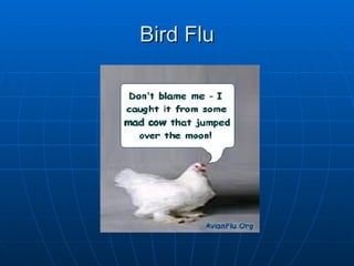Bird Flu 