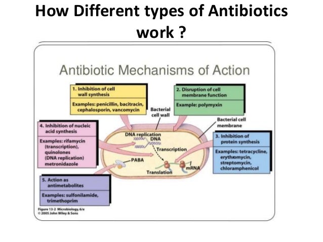 Antimicrobial Classes Chart