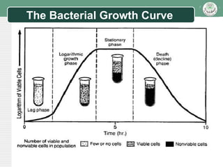 A new slide for bacterial generation_time.ppt