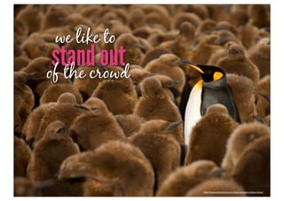 we like to
 stand out
of the crowd




               h"p://www.photobotos.com/baby-­‐penguins-­‐steve-­‐shuey/
 