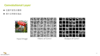  位置不変性の獲得
 様々な特徴を抽出
Convolutional Layer
Input Image Filters of Conv1 Output of Conv1
10
 
