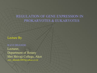 REGULATION OF GENE EXPRESSION IN PROKARYOTES & EUKARYOTES Lecture By RAVI DHANDE Lecturer, Department of Botany Shri Shivaji College, Akot [email_address] 