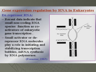 Gene regulation | PPT