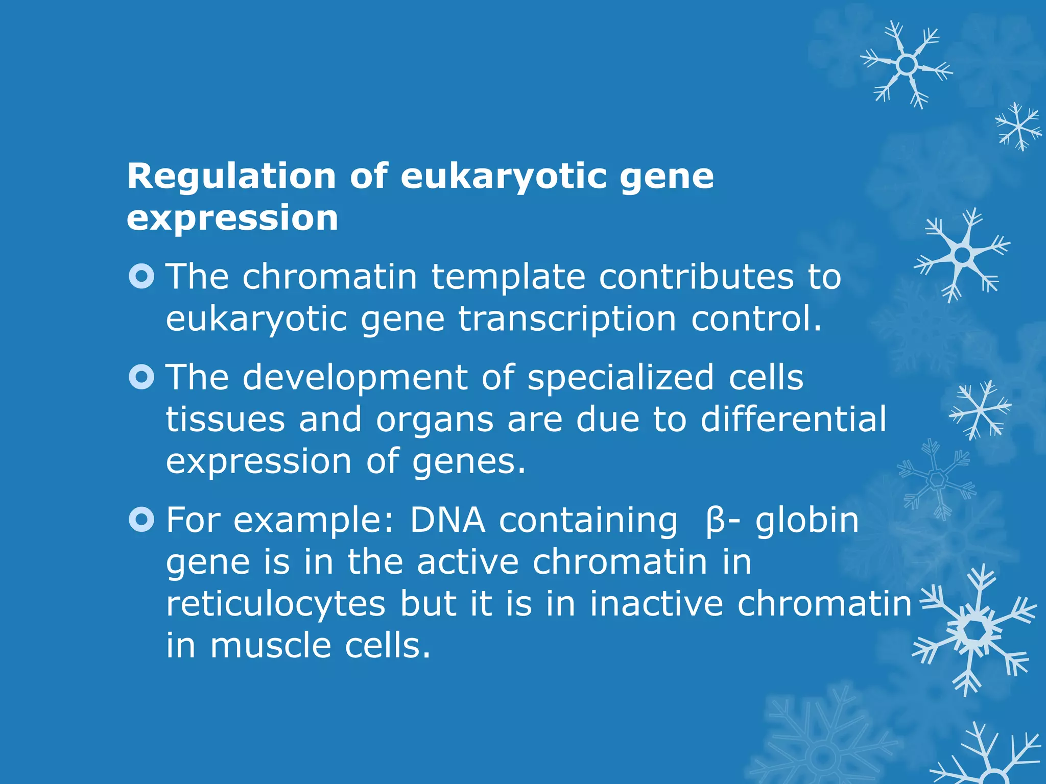 Regulation of Gene expression | PPTX | Chemistry | Science