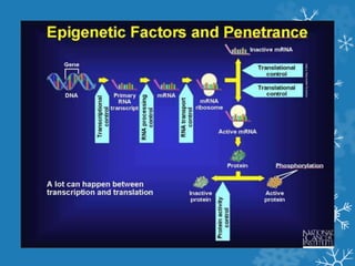Regulation of Gene expression | PPTX