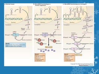 Regulation of Gene expression | PPTX