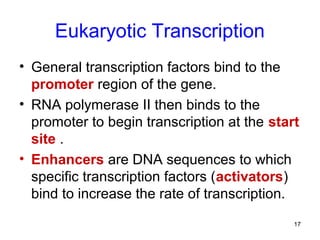 17
Eukaryotic Transcription
• General transcription factors bind to the
promoter region of the gene.
• RNA polymerase II then binds to the
promoter to begin transcription at the start
site .
• Enhancers are DNA sequences to which
specific transcription factors (activators)
bind to increase the rate of transcription.
 