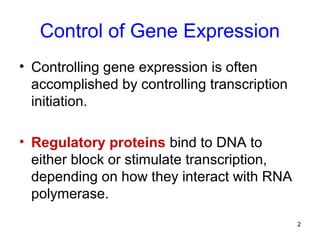 2
Control of Gene Expression
• Controlling gene expression is often
accomplished by controlling transcription
initiation.
• Regulatory proteins bind to DNA to
either block or stimulate transcription,
depending on how they interact with RNA
polymerase.
 