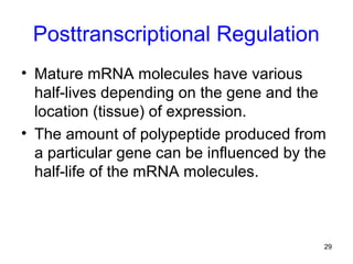 29
Posttranscriptional Regulation
• Mature mRNA molecules have various
half-lives depending on the gene and the
location (tissue) of expression.
• The amount of polypeptide produced from
a particular gene can be influenced by the
half-life of the mRNA molecules.
 