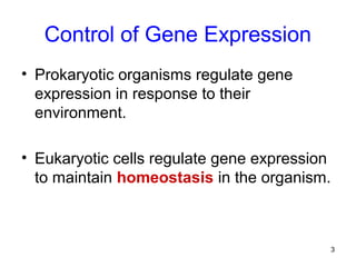 3
Control of Gene Expression
• Prokaryotic organisms regulate gene
expression in response to their
environment.
• Eukaryotic cells regulate gene expression
to maintain homeostasis in the organism.
 