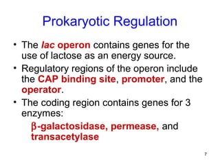 7
Prokaryotic Regulation
• The lac operon contains genes for the
use of lactose as an energy source.
• Regulatory regions of the operon include
the CAP binding site, promoter, and the
operator.
• The coding region contains genes for 3
enzymes:
β-galactosidase, permease, and
transacetylase
 