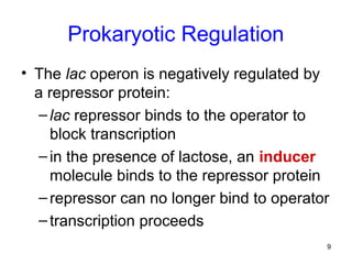 9
Prokaryotic Regulation
• The lac operon is negatively regulated by
a repressor protein:
–lac repressor binds to the operator to
block transcription
–in the presence of lactose, an inducer
molecule binds to the repressor protein
–repressor can no longer bind to operator
–transcription proceeds
 