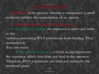 REPRESSION
Repression is the process whereby a corepressor (a small
molecule) inhibits the transcription of an operon
An inducible operon (e.g., the lac operon).
If the inducer is absent, the repressor is active and binds
to the
operator, preventing RNA polymerase from binding. Thus,
transcription
does not occur.
If the inducer is present, it binds to and inactivates
the repressor, which then does not bind to the operator.
Therefore, RNA polymerase can bind and transcribe the
structural genes.
1 1 / 2 9 / 2 0 1 7
10
S T Y M A S S
 