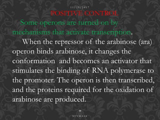 POSITIVE CONTROL
Some operons are turned on by
mechanisms that activate transcription.
When the repressor of the arabinose (ara)
operon binds arabinose, it changes the
conformation and becomes an activator that
stimulates the binding of RNA polymerase to
the promoter. The operon is then transcribed,
and the proteins required for the oxidation of
arabinose are produced.
1 1 / 2 9 / 2 0 1 7
14
S T Y M A S S
 