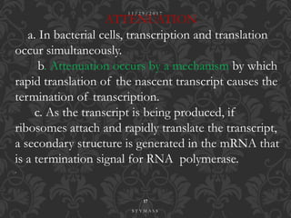 ATTENUATION
a. In bacterial cells, transcription and translation
occur simultaneously.
b. Attenuation occurs by a mechanism by which
rapid translation of the nascent transcript causes the
termination of transcription.
c. As the transcript is being produced, if
ribosomes attach and rapidly translate the transcript,
a secondary structure is generated in the mRNA that
is a termination signal for RNA polymerase.
.
1 1 / 2 9 / 2 0 1 7
17
S T Y M A S S
 