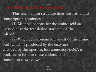 IF TRANSLATION IS SLOW,
This termination structure does not form, and
transcription continues.
(1) Multiple codons for the amino acid are
located near the translation start site of the
mRNA.
(2) When cells contain low levels of the amino
acid (which is produced by the enzymes
encoded by the operon), less aminoacyl-tRNA is
available to bind to these codons, and
translation slows down.
1 1 / 2 9 / 2 0 1 7
19
S T Y M A S S
 