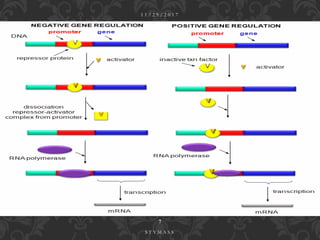 1 1 / 2 9 / 2 0 1 7
7
S T Y M A S S
 