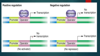 Gene regulation | PPTX