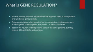 Gene regulation | PPTX