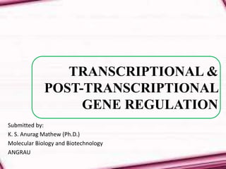 Gene regulation | PPTX