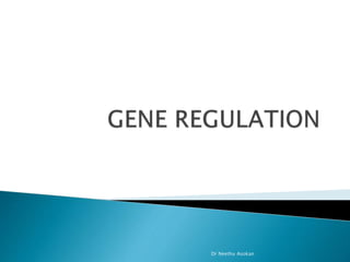 Ppt Regulation Of Gene Expression Powerpoint Presentation Free