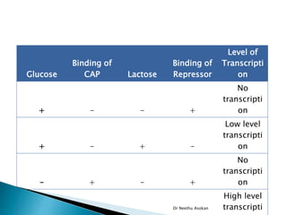 Glucose
Binding of
CAP Lactose
Binding of
Repressor
Level of
Transcripti
on
+ – – +
No
transcripti
on
+ – + –
Low level
transcripti
on
– + – +
No
transcripti
on
High level
transcripti
Dr Neethu Asokan
 