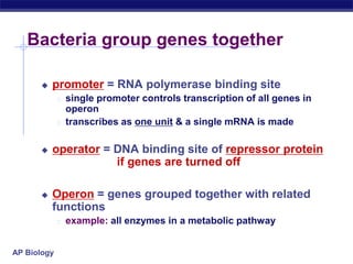 gene regulation.pptx