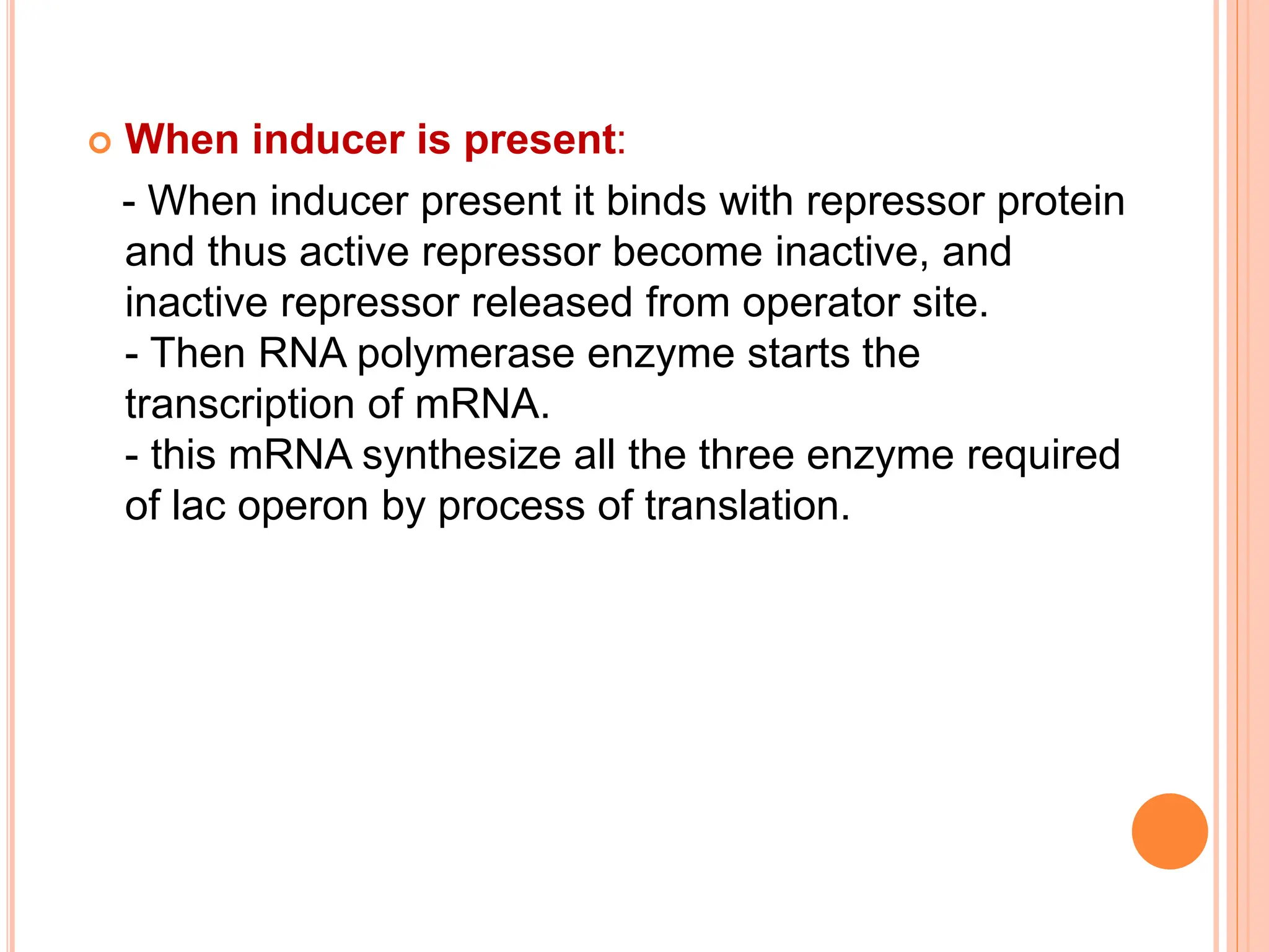 Gene Regulation.pptx