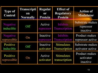 gene regulation .ppt