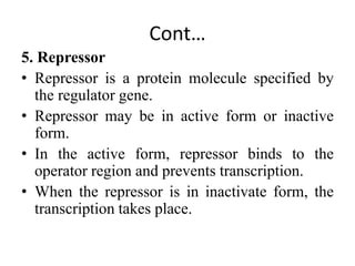gene regulation-30-4-19.ppt