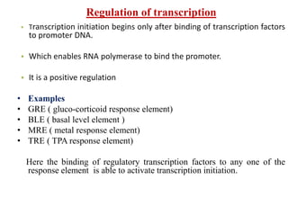 Tre Rtta Regulation gene regulation-30-4-19.ppt