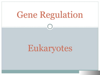Gene Regulation
 
