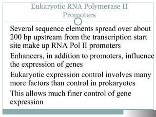 Gene regulation eukaryotes | PPT