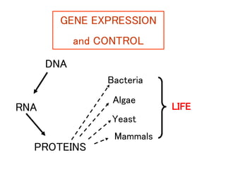 GENE EXPRESSION
and CONTROL
DNA
RNA
PROTEINS
LIFE
Bacteria
Algae
Yeast
Mammals
 