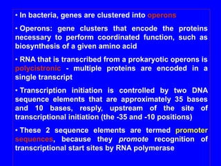 • In bacteria, genes are clustered into operons
• Operons: gene clusters that encode the proteins
necessary to perform coordinated function, such as
biosynthesis of a given amino acid
• RNA that is transcribed from a prokaryotic operons is
polycistronic - multiple proteins are encoded in a
single transcript
• Transcription initiation is controlled by two DNA
sequence elements that are approximately 35 bases
and 10 bases, resply, upstream of the site of
transcriptional initiation (the -35 and -10 positions)
• These 2 sequence elements are termed promoter
sequences, because they promote recognition of
transcriptional start sites by RNA polymerase
 
