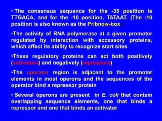 • The consensus sequence for the -35 position is
TTGACA, and for the -10 position, TATAAT. (The -10
position is also known as the Pribnow-box.)
•The activity of RNA polymerase at a given promoter
regulated by interaction with accessory proteins,
which affect its ability to recognize start sites
•These regulatory proteins can act both positively
(activators) and negatively (repressors)
•The operator region is adjacent to the promoter
elements in most operons and the sequences of the
operator bind a repressor protein
• Several operons are present in E. coli that contain
overlapping sequence elements, one that binds a
repressor and one that binds an activator
 